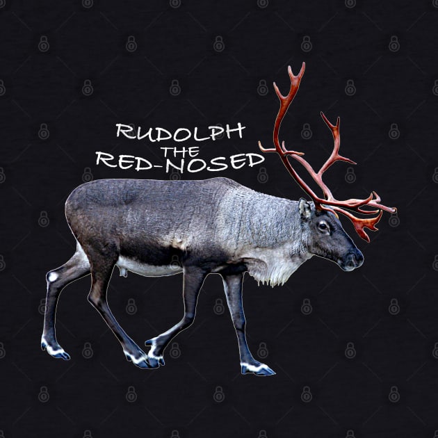 Rudolph the red-nosed by FotoJarmo